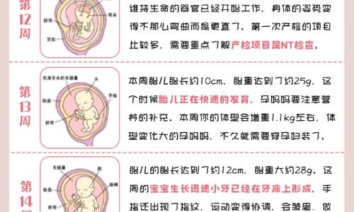 幼儿能吃甲鱼蛋的功效与作用网- 甲鱼蛋儿童可以吃吗知识,分享甲鱼蛋孩子可以吃吗